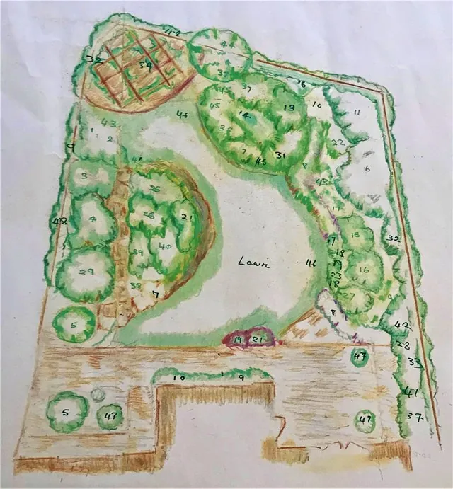 A hand-drawn, coloured garden design plan